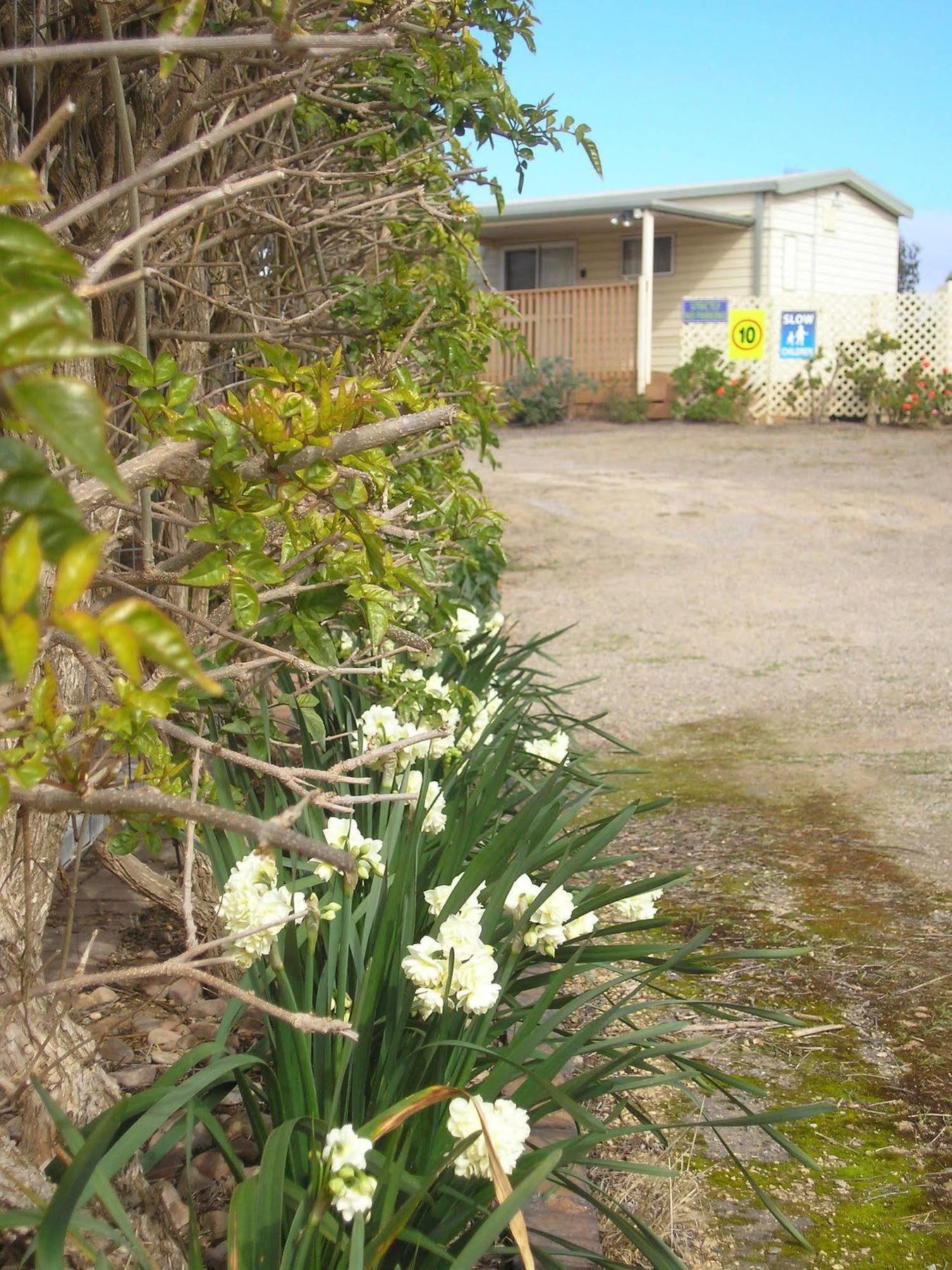 Moonta Bay Accommodation Port Moonta Exterior photo